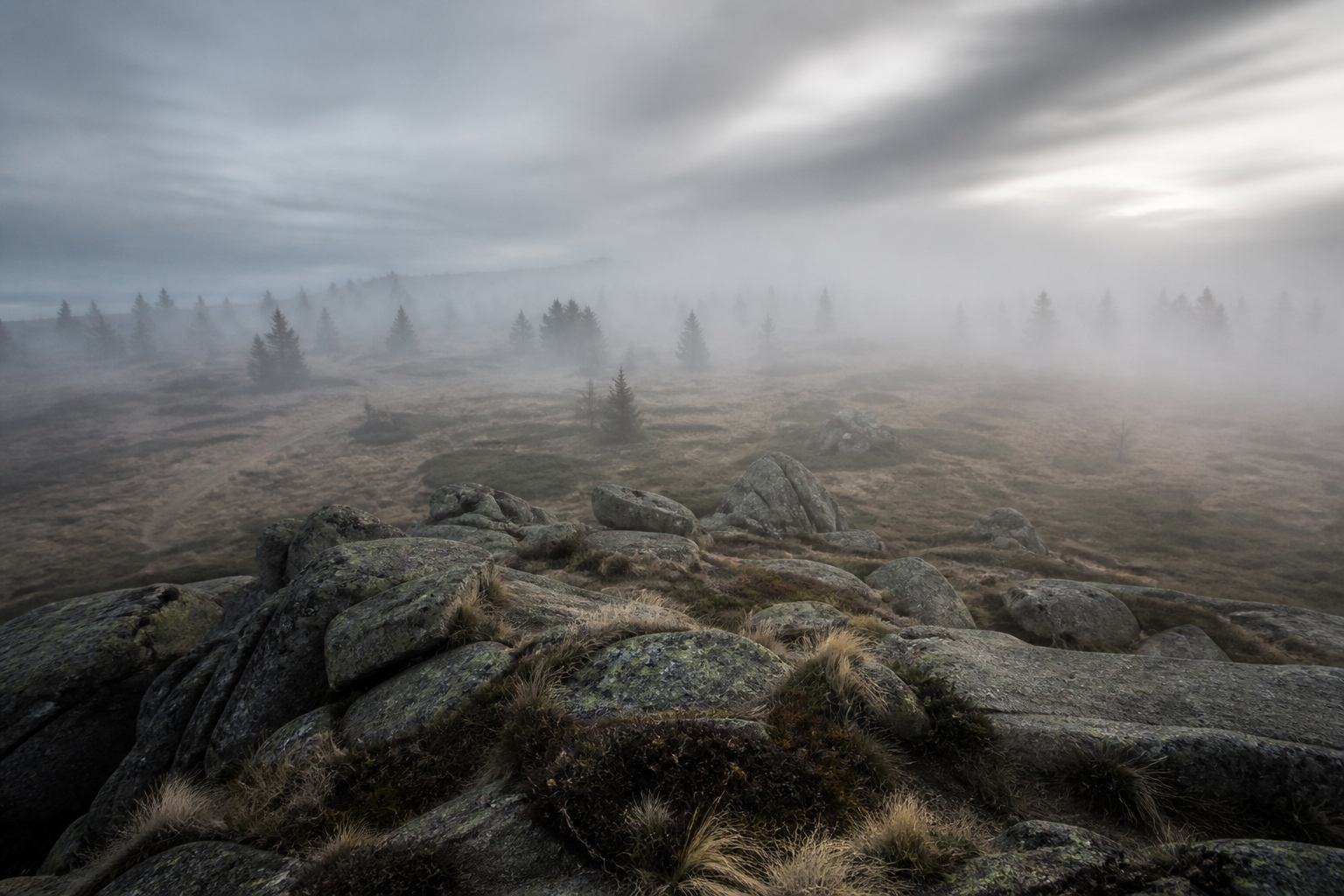 Nebel über dem Brockenplateau mit Fichten und Granit