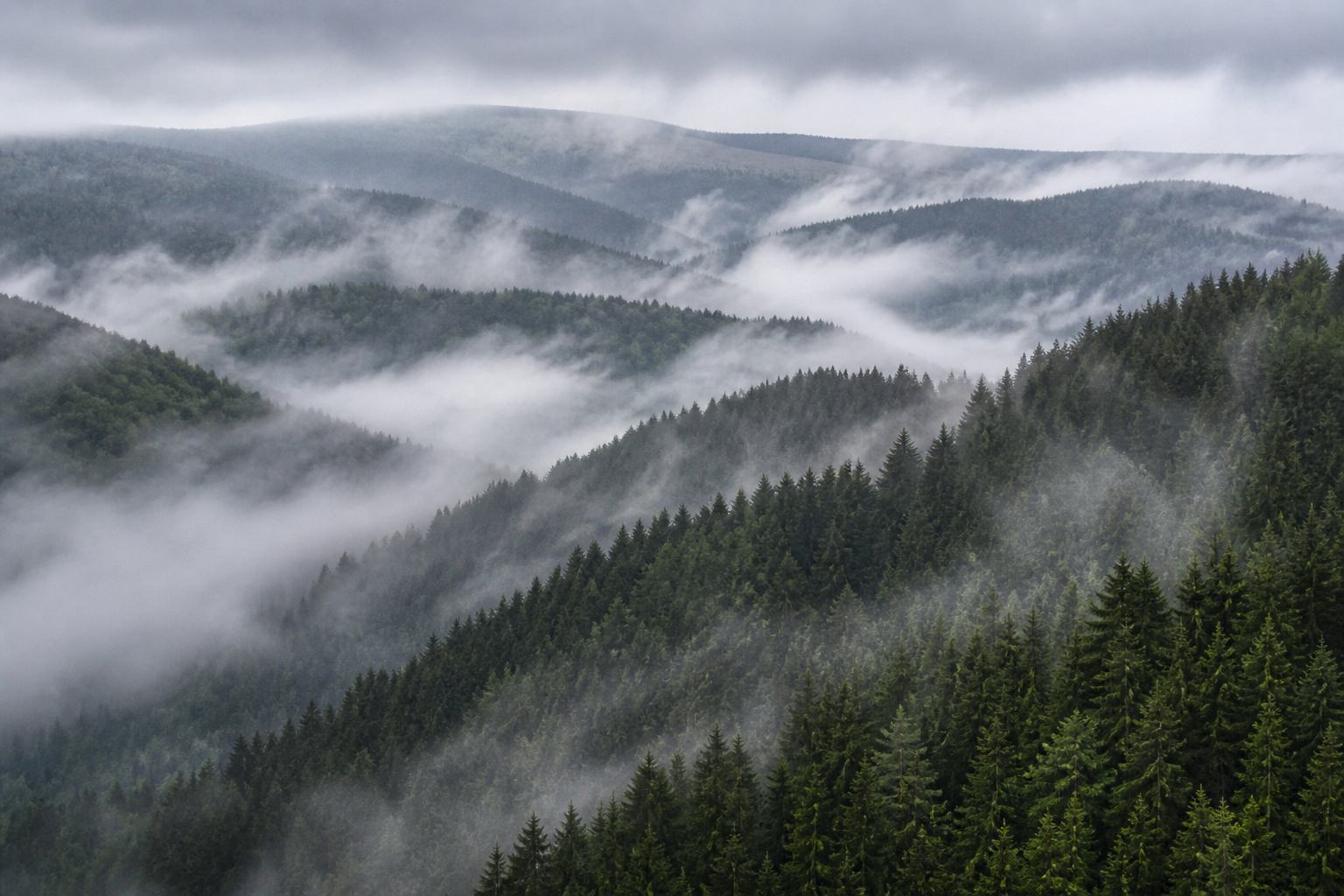 Bergkamm und Nebelschichten entlang einer Harzroute